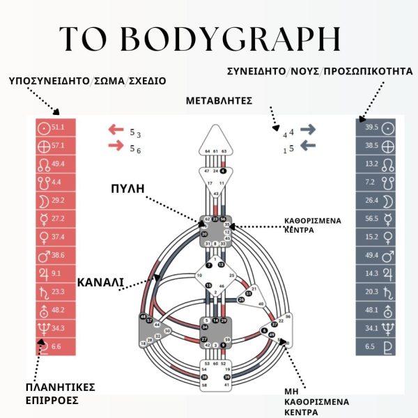 THE BODYGRAPH2